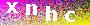 captcha_pic
